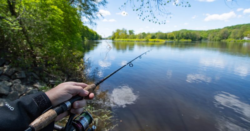 best cheap fishing reel walmart Best Rated and Reviewed in Spinning Reels
